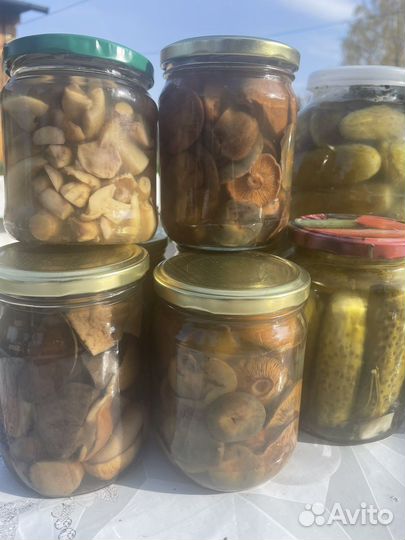 Грибы рыжики и другие соленые и маринованые огурцы