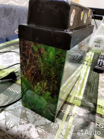 Аквариум 5л