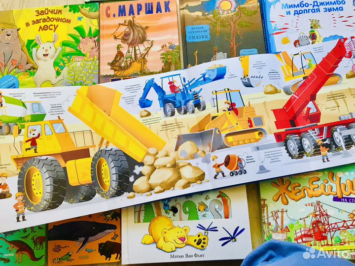 Танцующий жираф, Мэтью ван флит, Живая книга