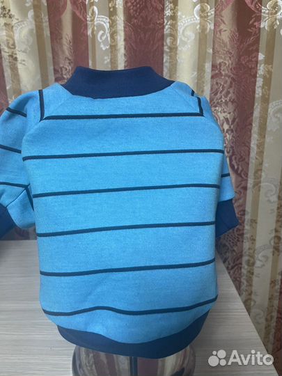 Одежда для собак мелких пород и кошек