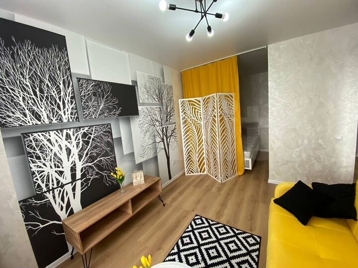 1-к. квартира, 34 м², 6/10 эт.