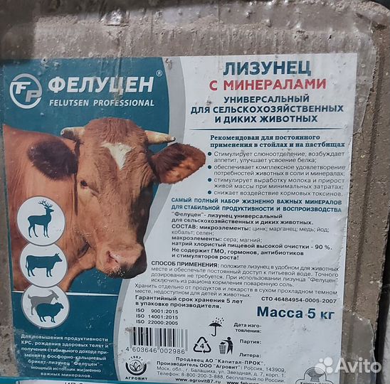 Соль лизунец