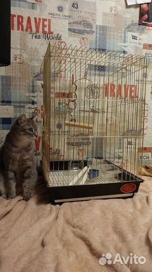 Большая клетка для птиц