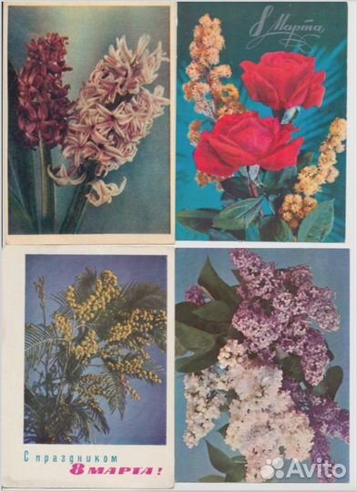 Советские открытки цветы СССР