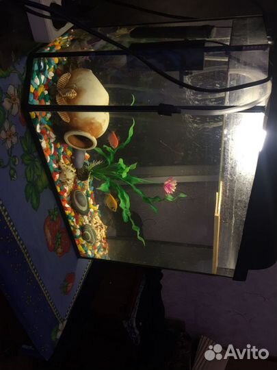 Аквариум с рыбками