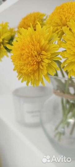 Одуванчики из полимерной глины