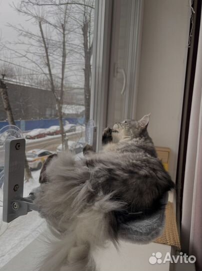 Гамак для животных