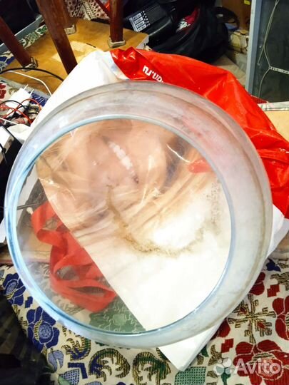 Аквариум террариум шар 20 литров