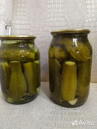 Огурцы домашние