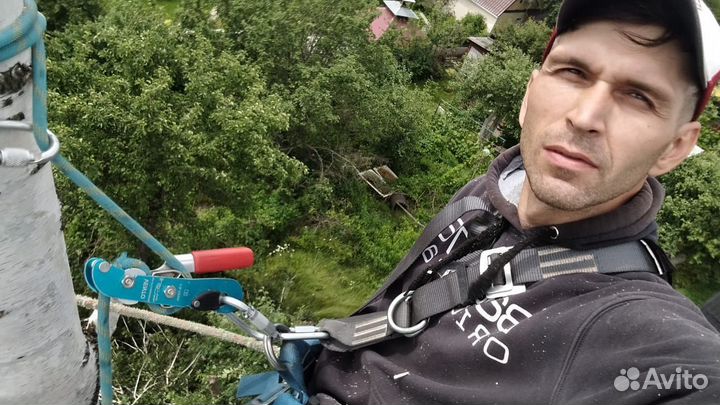 Спил деревьев без вышки / арборист / покос травы