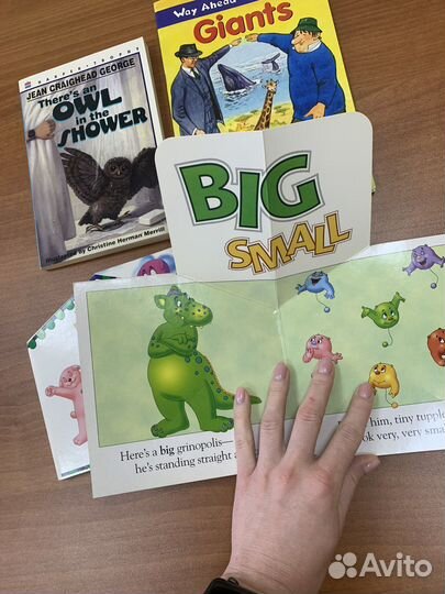 Книги на английском языке для детей