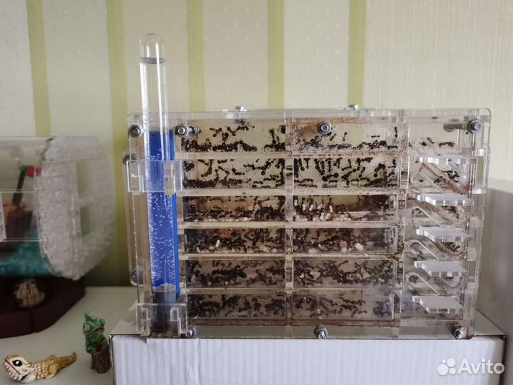 Пробирка стеклянная пс-2 10х120мм