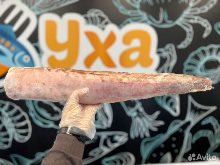 Красная рыба горбуша, форель, семга, конгрио