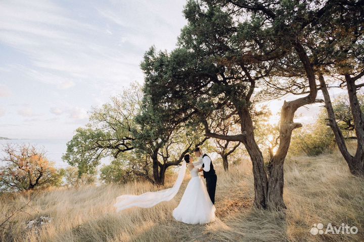 Организация свадьбы и банкета