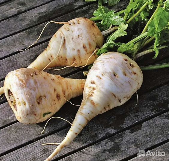 Корень пастернака с доставкой
