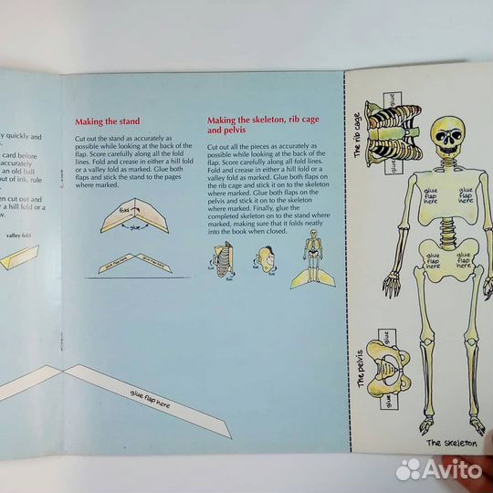 Книга на английской языке для детей