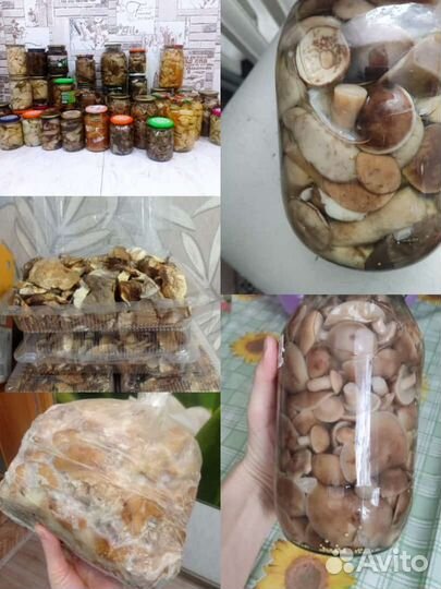 Продам маринованные, сушенные, замороженные грибы