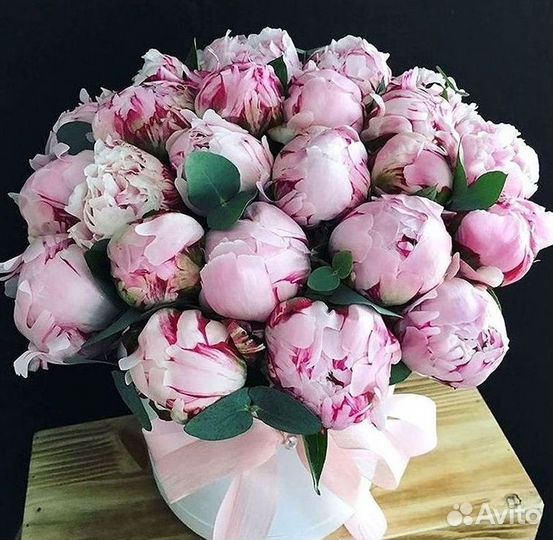 Пионы Цветы Доставка