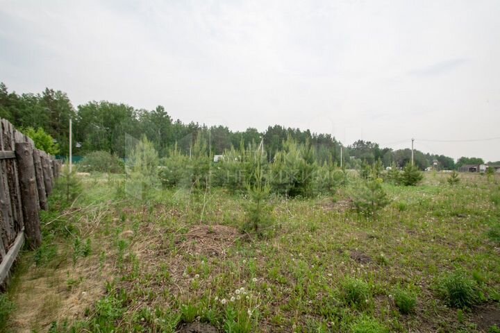 Участок 14,9 сот. (СНТ, ДНП)