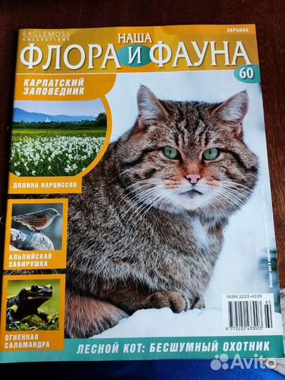 Наша флора и фауна