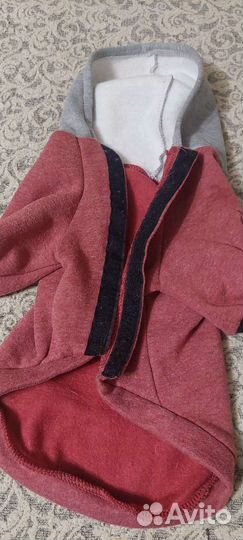 Одежда для собак