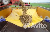 Стоп шок - сохрани урожай