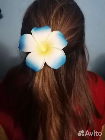 Резинки франжипани