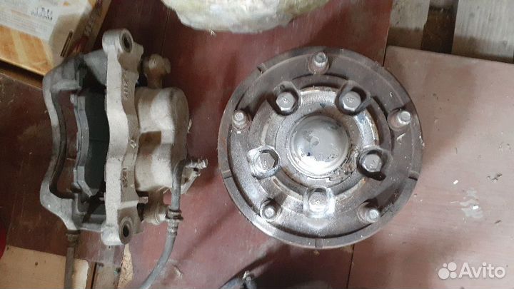 Передние ступеци