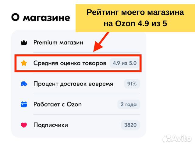 Инвестиции в бизнес на Ozon даю прибыль 300к в мес