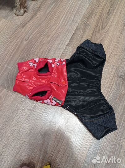 Костюмчик для маленькой собачки