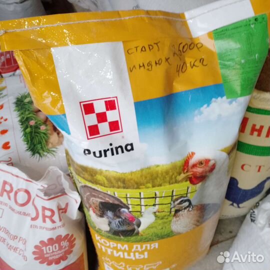 Корм доставка бесплатно