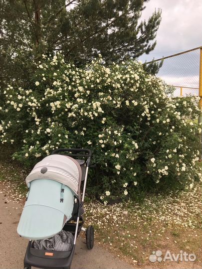 Коляска stokke
