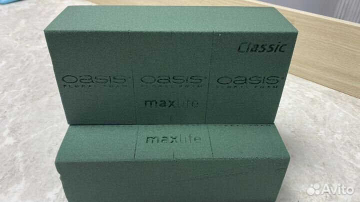 Флористический оазис