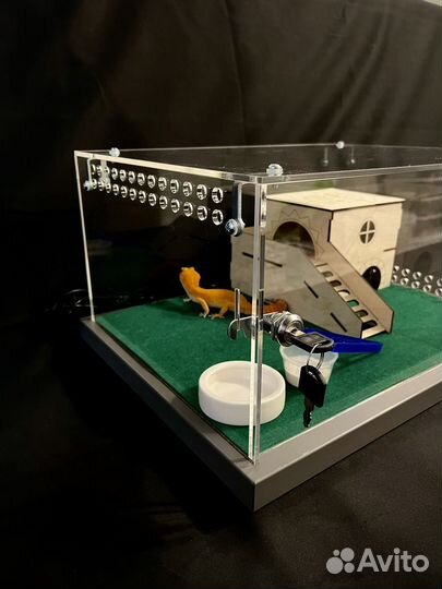 Террариум с замком для эублефара