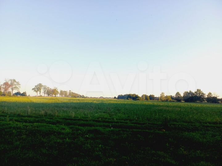 Участок 6 га (ИЖС)