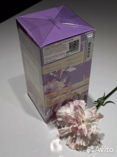 Blumarine Shine like a Night