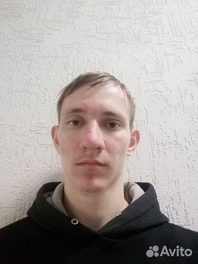 Сборщик грибов