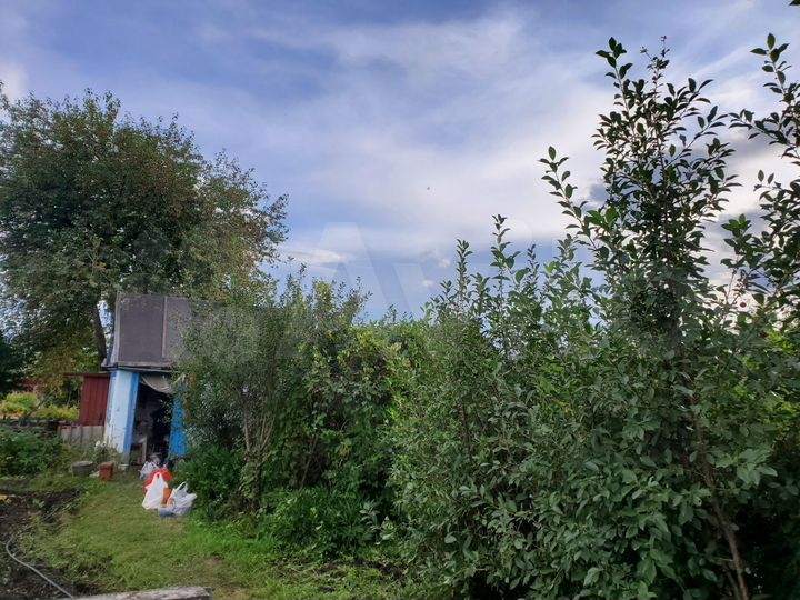 Участок 6 сот. (СНТ, ДНП)