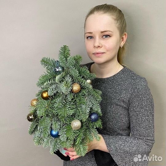 Елки из нобилиса (Датская пихта)