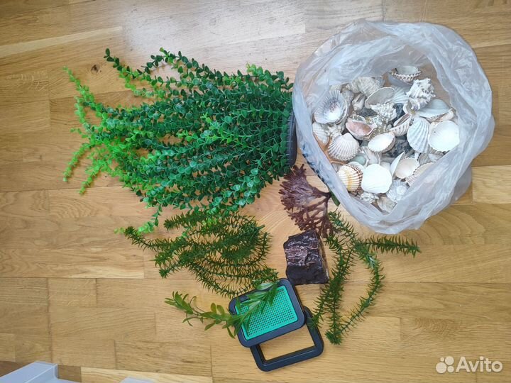 Растения, прополка