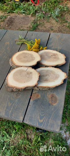 Спилы дерева