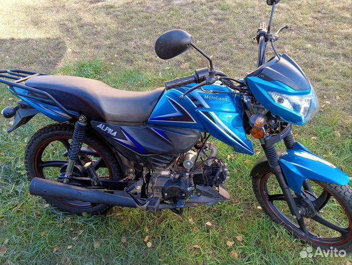 Альфа 50(110) 2022 года