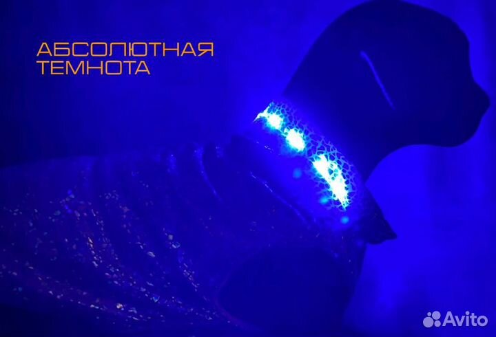 Одежда для собак мелких пород