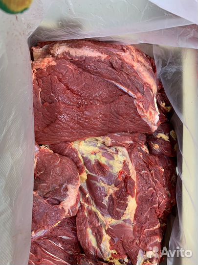 Мясо говядина домашняя деревенская свежее коровы