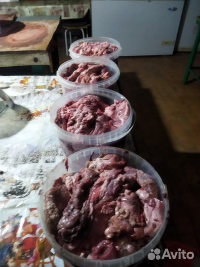 Отходы говяжьи для собак