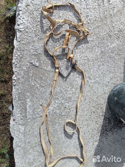 Уздечка для лошади