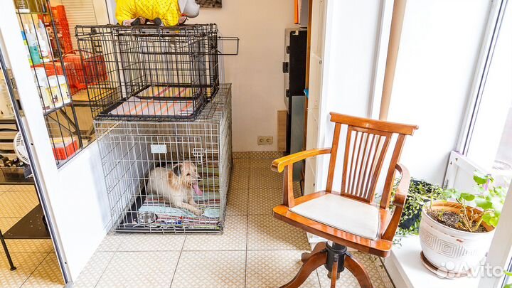 Сдается в аренду рабочее место грумера