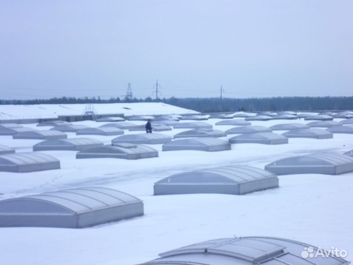 Ремонт кровли мембранной