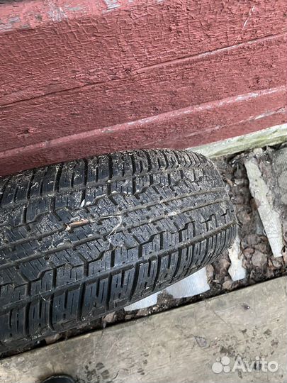 Accelera Gamma 3.75/8 R8 25J