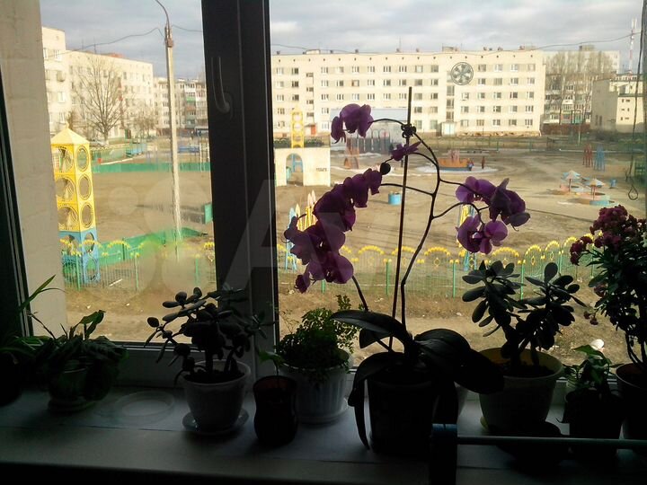 Комната 17,5 м² в 1-к., 2/9 эт.